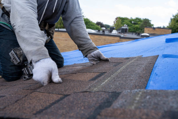 Best Roof Gutter Cleaning  in Polk City, IA